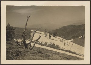 [Landschap]