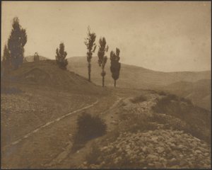 [Landschap met heuvels]