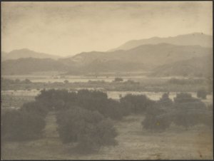 [Landschap met lage bomen] door Louis Fleckenstein