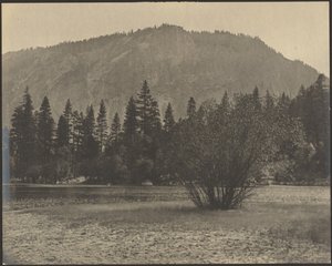 [Landschap met rotsen].