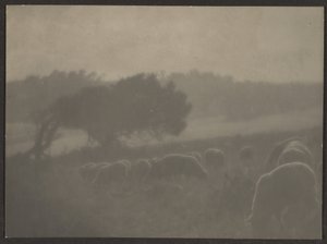 [Landschap met schapen] door Louis Fleckenstein