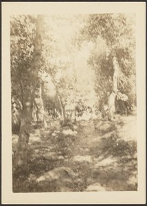 [Landschap met wilde herten]. door Louis Fleckenstein