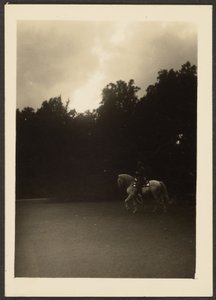 [Man te paard met donkere bomen en lichte lucht].
