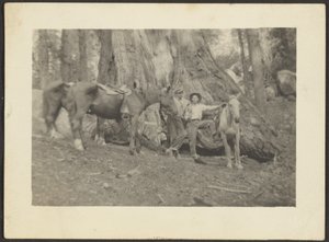 [Mannen en pakpaarden in bosontginning]. door Louis Fleckenstein