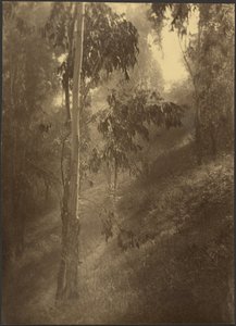  door Louis Fleckenstein