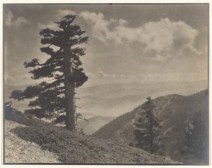 [On Ridge to Old Baldy].