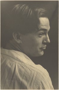  door Louis Fleckenstein