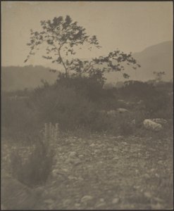 [Rotsachtig Landschap]