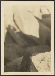 [Shoe on Rocks].