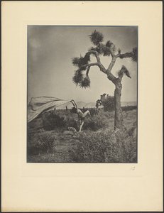 De woestijnwind door Louis Fleckenstein