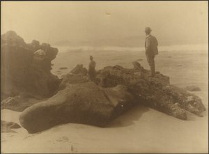 [Drie mannen die vanaf de rotsen op het strand aan het vissen zijn] door Louis Fleckenstein