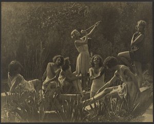 Waterlelies door Louis Fleckenstein