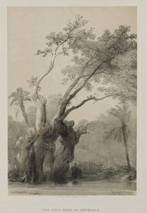Egypte en Nubië, Deel III: De Heilige Boom van Metereah, 1849