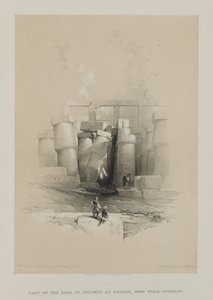 Egypte en Nubië, Deel II: Deel van de Zuilenhal in Karnak, Thebe, 1847