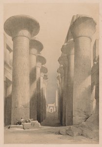 Egypte en Nubië: Deel I - Nr. 20, Grote Hal in Karnak, Thebe door Louis Haghe