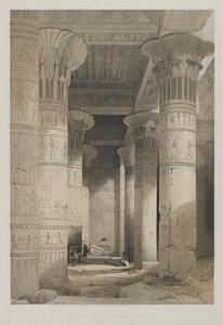 Egypte en Nubië, Deel I: Uitzicht onder het grote portiek van de tempel, Philae, 1846
