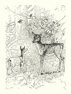 Het Hert en zijn Moeder door Louis John Rhead