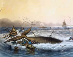 Walvisvangst in Zuidzeeën, kleurenlithografie door Louis Lebreton (overleden 1866) door Louis Le Breton