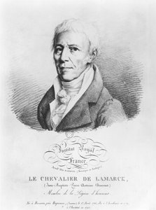 Portret van Jean-Baptiste de Monet (1744-1829) Chevalier de Lamarck, uit 