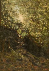 Nacht door het bos