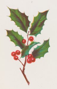 Hulst, 1862