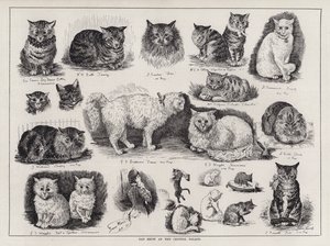 Kattenshow in het Crystal Palace door Louis Wain