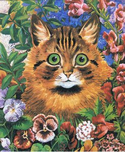 Kattenstudie