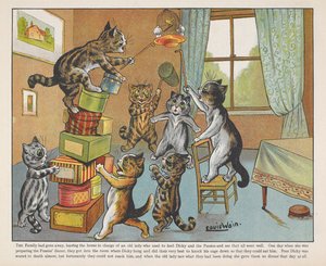 Katten spelen met dozen in een kamer