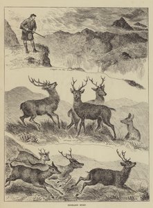 Hoogland sport door Louis Wain