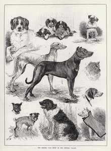 De Kennel Club Show in het Crystal Palace door Louis Wain
