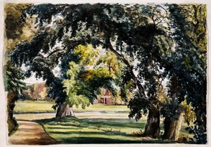 Landschap door Louisa Ann Neville