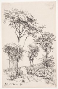 Boslandschap met Vrijstaande Bomen door Louise Ravn Hansen