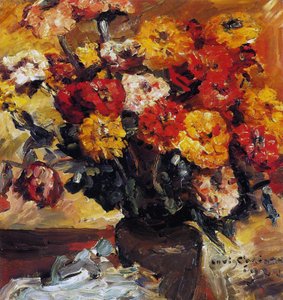 Zinnia
