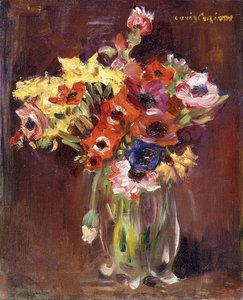 Anemonen