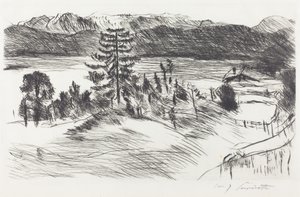 Groot Walchensee-landschap