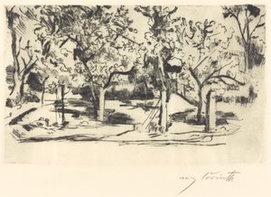 Boomgaard, 1918