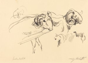 Schafböcke Rams, 1912 door Lovis Corinth