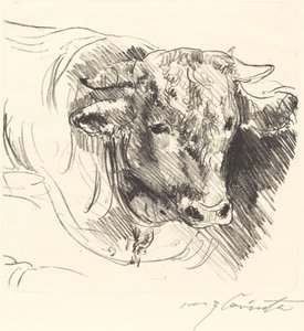 Stierkopf, 1912 door Lovis Corinth