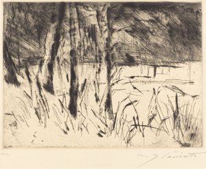 Tiergarten Dierentuin, 1922