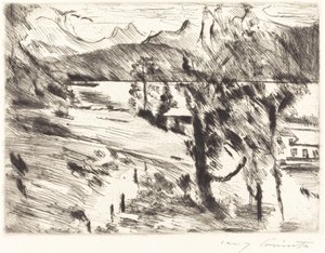 Walchensee landschap