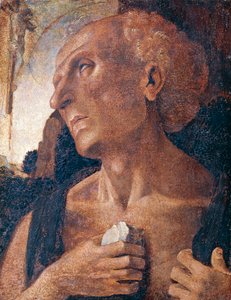Sint Hiëronymus door Luca (attr.to) Signorelli