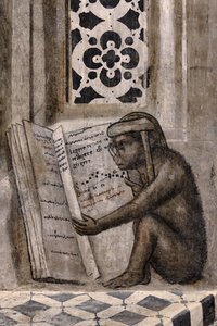De aap met bril die een boek leest