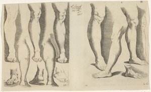 Studies van benen