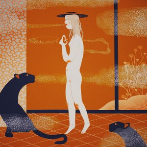 De mysterieuze vrouw en de panters
