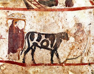 Een stier leidt naar het altaar van het offer. Lucanisch fresco uit de 4e eeuw v.Chr., uit de necropolis van Andriuolo in Paestum, Italië. Museo nazionale archeologico, Paestum