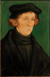 Portret van een geleerde (Otto Brunfels)