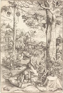 De boetedoening van Sint Hiëronymus