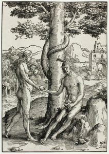 Adam en Eva (De zondeval) door Lucas van Leyden