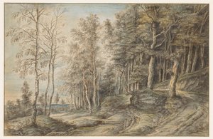 Boslandschap door Lucas van Uden