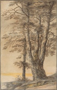 Studie van bomen door Lucas van Uden